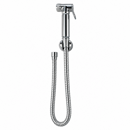 A polished chrome handheld shower sprayer with a flexible metal hose and wall mount, shown against a plain light background.