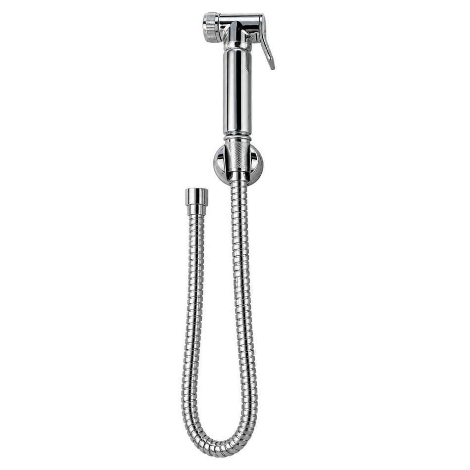 A polished chrome handheld shower sprayer with a flexible metal hose and wall mount, shown against a plain light background.