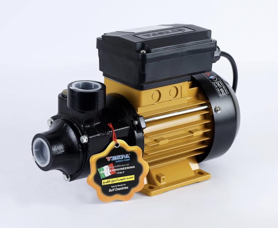 CLASSIC 100 1.0HP MONOBLOCK PUMP – SS 316 IMPELLER, CAST IRON