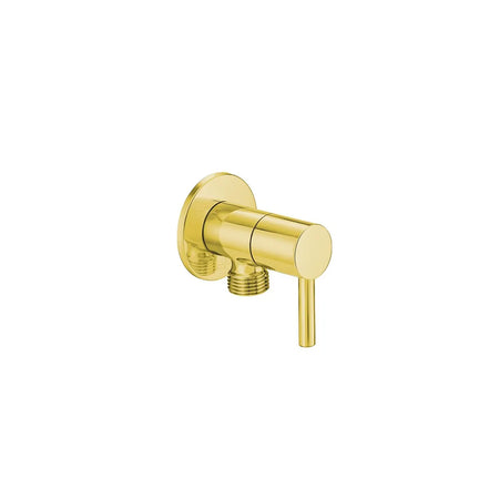 A polished gold wall-mounted faucet with a single lever handle.