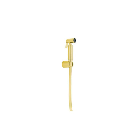 A wall-mounted bathroom bidet shower with a polished gold finish and a flexible hose